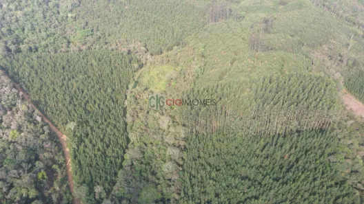 Fazenda/Sítio com 2 Quartos à venda, 1331000m² no Marquês de Abrantes, Tunas do Paraná