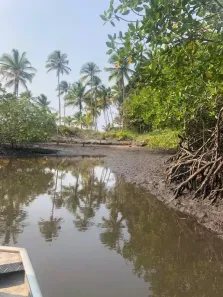 Fazenda/Sítio com 2 Quartos à venda, 250000m² no , Canavieiras