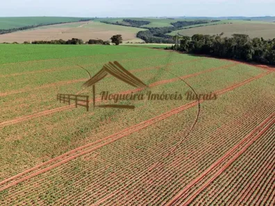 Fazenda/Sítio à venda, 1m² no , Paranapanema