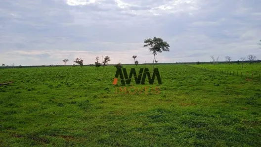 Fazenda/Sítio à venda, 50820000m² no , Caseara
