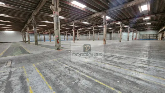 Galpão/Depósito/Armazém para alugar, 9500m² no Cooperativa, São Bernardo do Campo