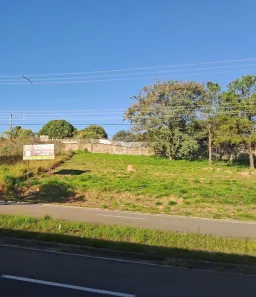 Lote/Terreno à venda, 1158m² no Loteamento Alphaville Campinas, Campinas