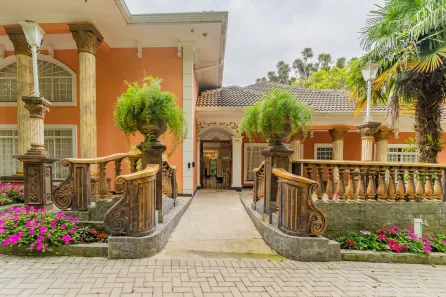 Fazenda/Sítio com 9 Quartos à venda, 42000m² no Roseira, Colombo