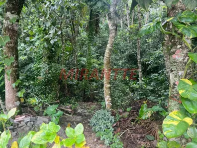 Lote/Terreno à venda, 923m² no Roseira, Mairiporã