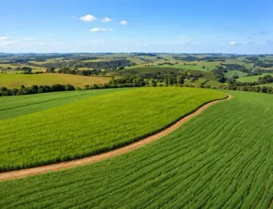 Fazenda/Sítio à venda, 2492600m² no Conjunto Habitacional Jamile Dequech, Londrina