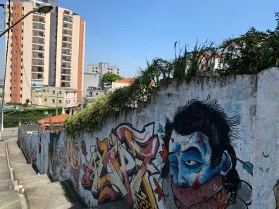 Casa com 6 Quartos à venda, 815m² no Vila Maria Alta, São Paulo