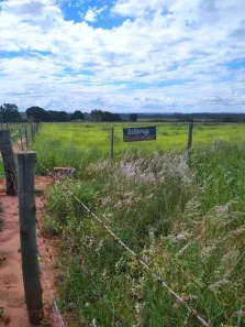 Fazenda/Sítio à venda, 6m² no , Presidente Epitácio