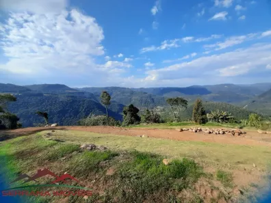 Lote/Terreno à venda, 81000m² no Dos Boêmios, Nova Petrópolis