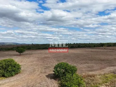 Fazenda/Sítio à venda, 500m² no , Morrinhos