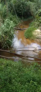 Lote/Terreno à venda, 60000m² no , Florestal