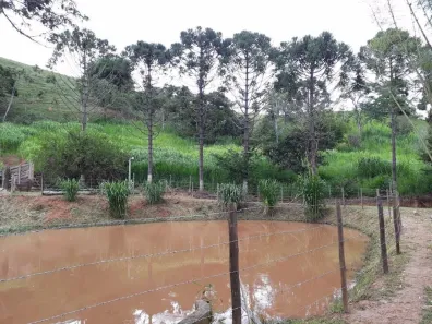 Fazenda/Sítio com 2 Quartos à venda, 100m² no Centro, Redenção da Serra