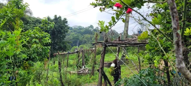 Lote/Terreno à venda, 585m² no , Embu-Guaçu