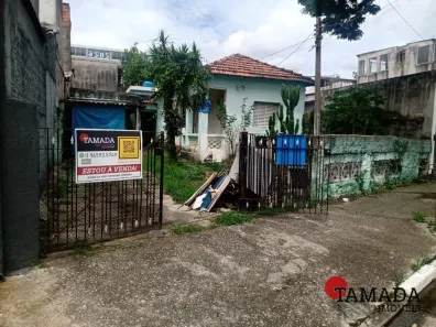 Lote/Terreno à venda, 289m² no Vila Guilhermina, São Paulo
