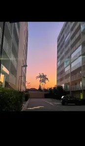 Apartamento com 1 Quarto à venda, 31m² no Ferreira, São Paulo