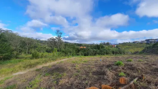 Lote/Terreno à venda, 1000m² no Biritiba Ussu, Mogi das Cruzes