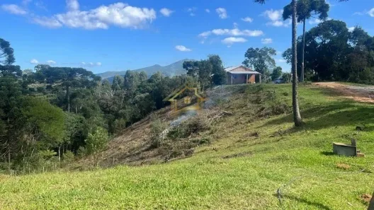 Fazenda/Sítio com 2 Quartos à venda, 10000m² no Palmitalzinho, Quatro Barras