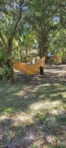 Fazenda/Sítio com 2 Quartos à venda, 450m² no , Itanhaém