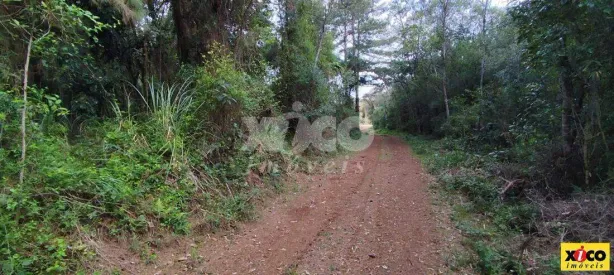 Fazenda/Sítio com 1 Quarto à venda, 5000m² no , Nova Petrópolis