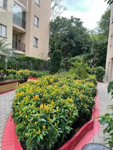 Apartamento com 2 Quartos para alugar, 55m² no Penha de França, São Paulo