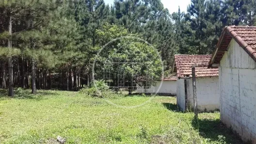 Fazenda/Sítio à venda, 150m² no Chácara Santo Amaro, São Paulo
