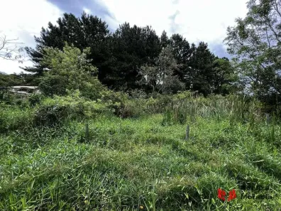 Lote/Terreno à venda, 1420m² no Chácara Santa Lúcia, Carapicuíba