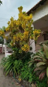 Casa com 4 Quartos à venda, 60m² no Ponte dos Leites, Araruama