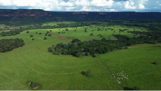 com 3 Quartos à venda, 480m² no , Pedra Preta