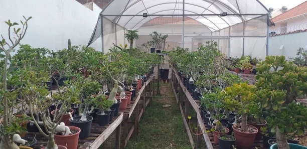 Lote/Terreno à venda, 300m² no Palmital, Marília
