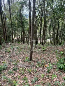 Lote/Terreno à venda, 5000m² no Marmelo, Mairiporã