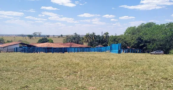 Fazenda/Sítio com 4 Quartos à venda, 500m² no , Guapó