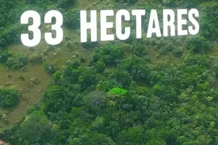 Lote/Terreno à venda, 330000m² no Benfica, Benevides