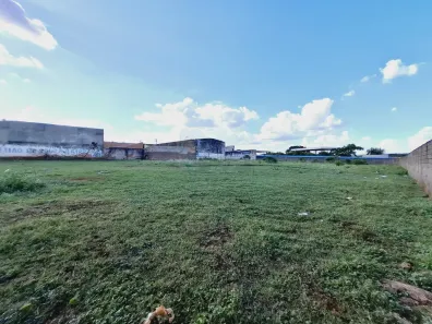 Lote/Terreno para alugar, 4320m² no Jardim Salgado Filho, Ribeirão Preto