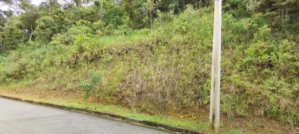 Lote/Terreno à venda, 1005m² no Canto da Mata, Nova Lima