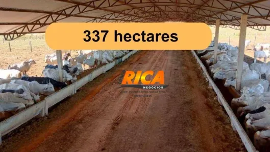 Fazenda/Sítio à venda, 3370000m² no , Machadinho D'Oeste