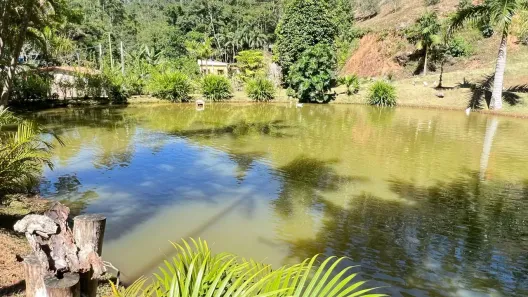 Fazenda/Sítio com 7 Quartos à venda, 90000m² no Santa Teresa, Santa Teresa