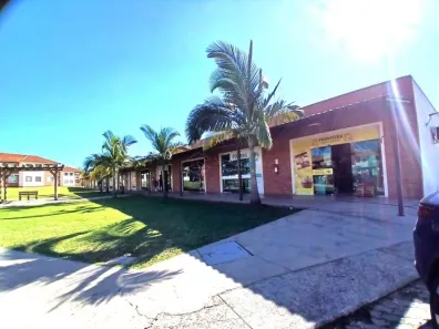 Apartamento com 3 Quartos à venda, 63m² no Pinheiro Machado, Santa Maria
