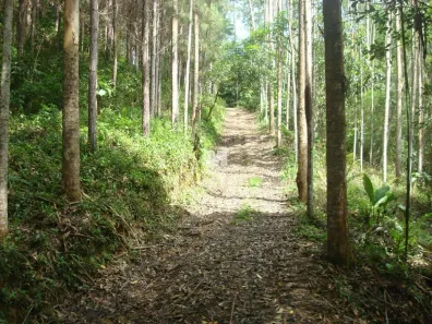 Fazenda/Sítio com 3 Quartos à venda, 690000m² no Ponta Russa, Brusque