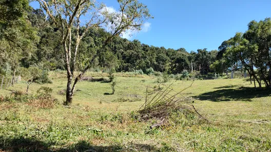 Fazenda/Sítio à venda, 20000m² no , Urubici