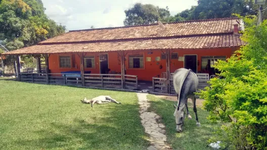 Fazenda/Sítio com 4 Quartos à venda, 10000m² no Melo Viana, Esmeraldas