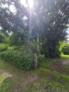 Fazenda/Sítio com 3 Quartos à venda, 32000m² no Aldeia dos Camarás, Camaragibe
