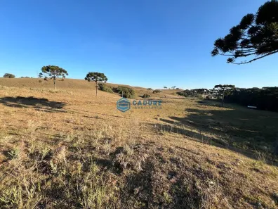 Fazenda/Sítio à venda, 78000m² no Vila Seca, Caxias do Sul