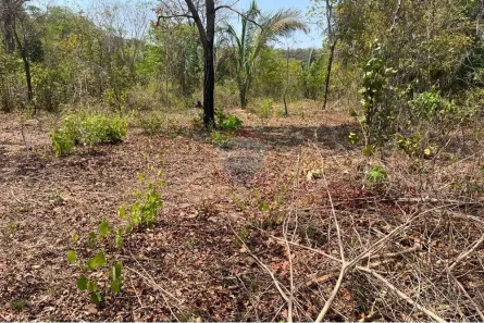 Fazenda/Sítio com 1 Quarto à venda, 1200m² no Área Rural de Rondonópolis, Rondonópolis