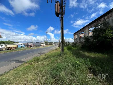 Galpão/Depósito/Armazém à venda, 1054m² no Chapada, Ponta Grossa