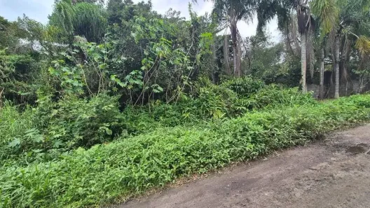 Lote/Terreno à venda, 466m² no Gaivota (Interior), Itanhaém