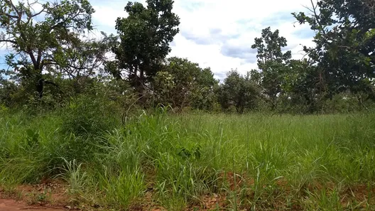 Lote/Terreno à venda, 1000m² no Mansões de Recreio Estrela D'alva VII, Luziânia
