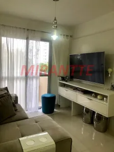 Apartamento com 2 Quartos à venda, 63m² no Vila Santa Catarina, São Paulo