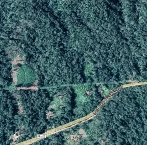 Fazenda/Sítio à venda, 121000m² no Potinga, Guaraqueçaba