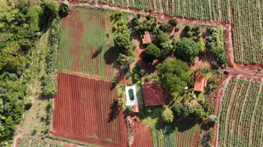 Fazenda/Sítio à venda, 20000m² no 2° Distrito Industrial (Domingos Ferrari), Araraquara