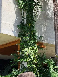 Casa com 4 Quartos à venda, 437m² no Barra, Balneário Camboriú