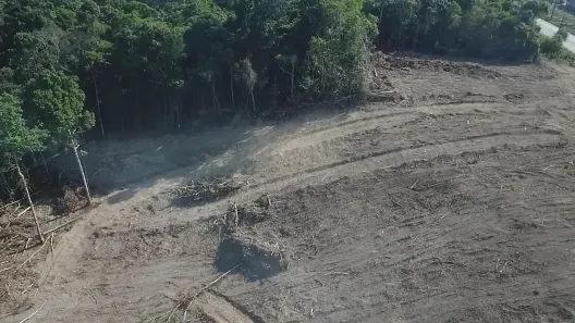 Lote/Terreno à venda, 74000m² no Distrito Industrial II, Manaus